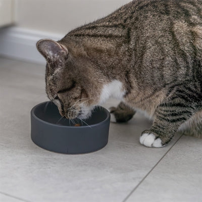 Trixie Food Bowl Kat Keramik -Assorti