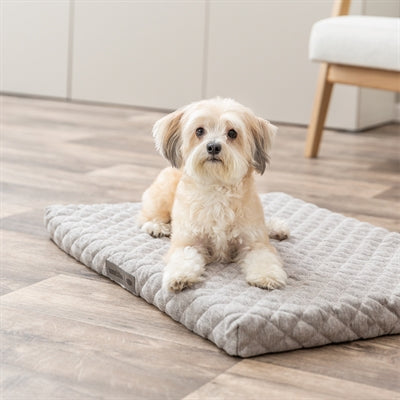 Trixie Hundekissen Noah Vital hellgrau