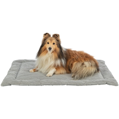 Trixie Ligmat Jonna Rib Velvet Grau