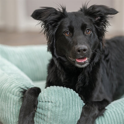 Trixie Hundkorb Jonna Vital Ribstof Saliegroen
