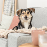 Trixie Hundedecke Elli dunkelgrau - afbeelding 2