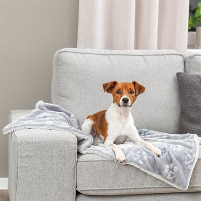 Trixie Dog Decke Jimmy Soft Hellgrau
