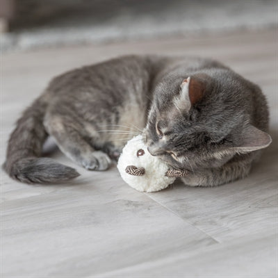 Trixie -Bier mit Catnip Plush Assorti