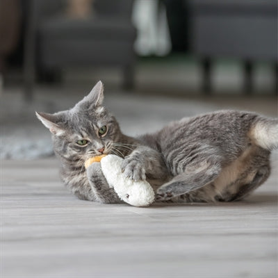 Trixie schläfriges Gesicht mit Catnip Plicken Assorti