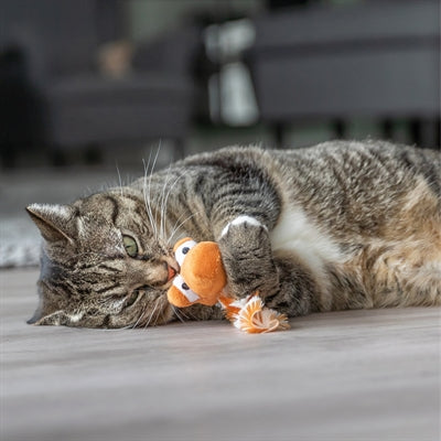 Trixie Draak mit Catnip Plush Assorti