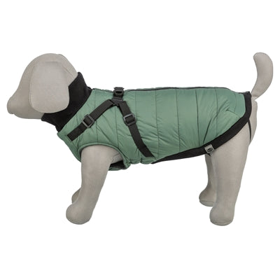 Trixie Hundemantel Pontis mit Geschirr salbeigrün