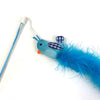 Happy Pet Tabby Patch Katze Rute Vogel blau