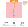 Happy Pet Tabby Patch Karotten-Bungee