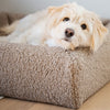 Bia Bett Premium Bezug Teddy Beige