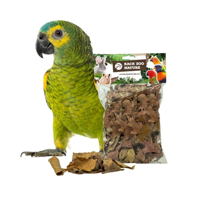 Hintere Zoo-Naturentdeckungsblätter