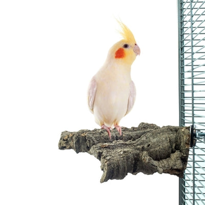 Natürlicher Kausnack aus Kork von Back Zoo