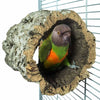 Hintere Zoo-Naturstammhütte