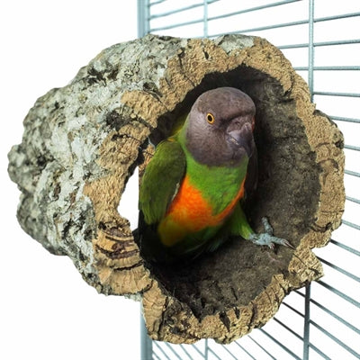Hintere Zoo-Naturstammhütte