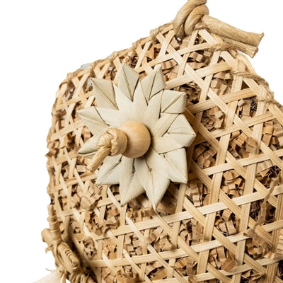 Zurück Zoo Natur lustige Blume