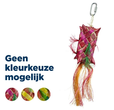 Zurück Zoo Natur Karneval Pinata