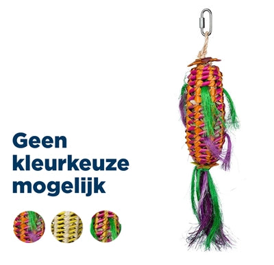 Zurück Zoo Natur Melone Pinata