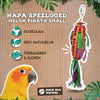 Zurück Zoo Natur Melone Pinata