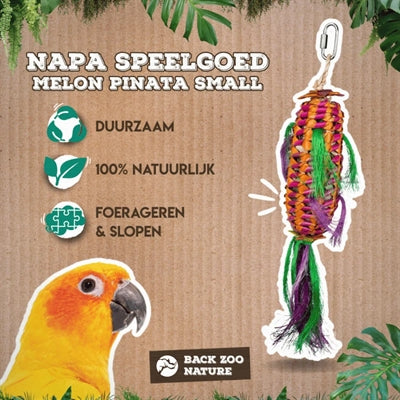 Zurück Zoo Natur Melone Pinata