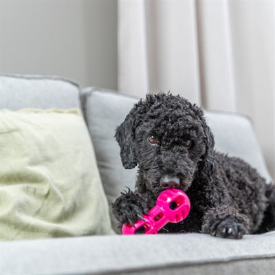 Trixie Kurzhantel weich stark TPR rosa