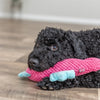 Trixie Seepferdchenstoff rosa Aqua