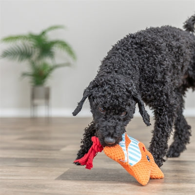 Trixie-Seestern mit orangefarbenem Zahnseideseil