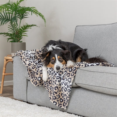 Trixie Hundedecke Leo, weicher Plüsch, Leopardenmuster, Creme