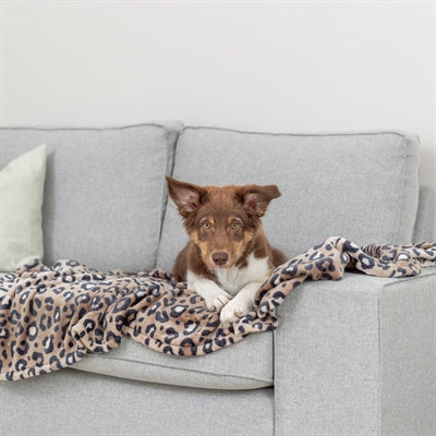 Trixie Hundedecke Leo weicher Plüsch Leopardenmuster braun
