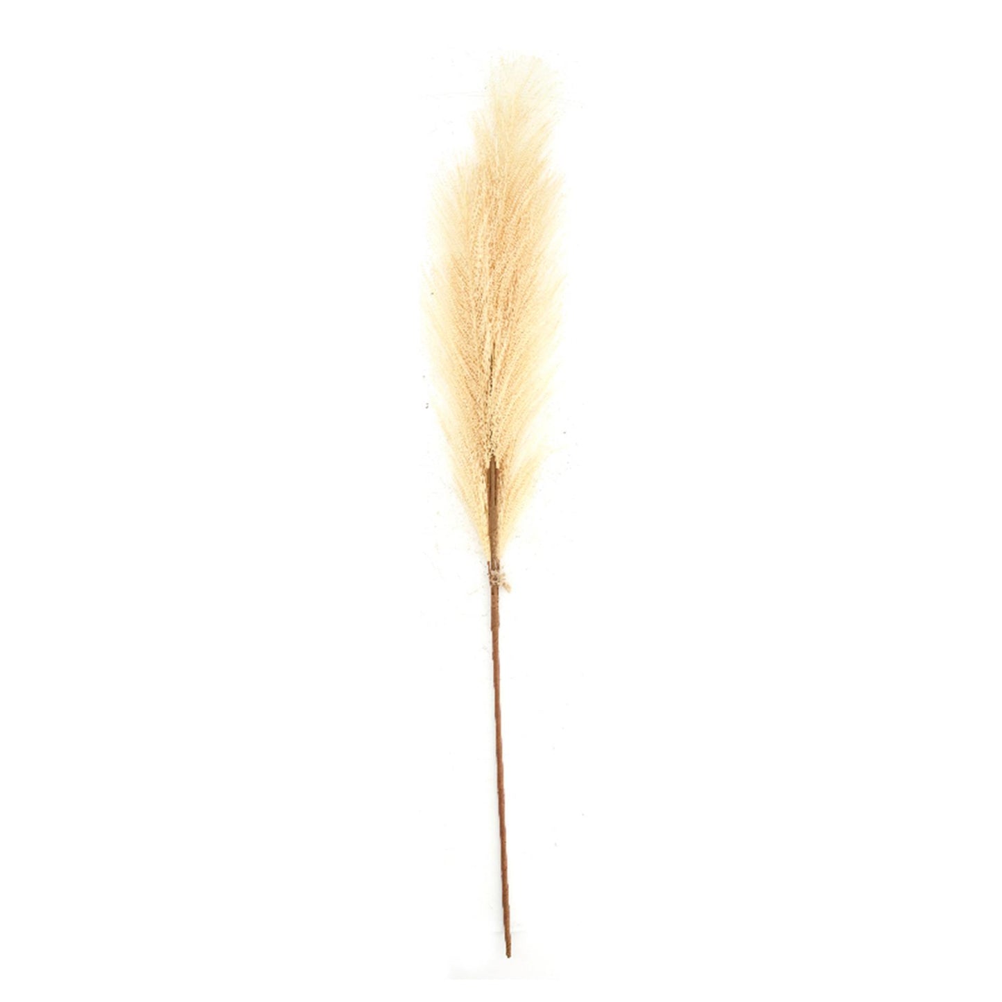 Dijk Natural Collections Kunstblumenfeder 77x8x3cm beige