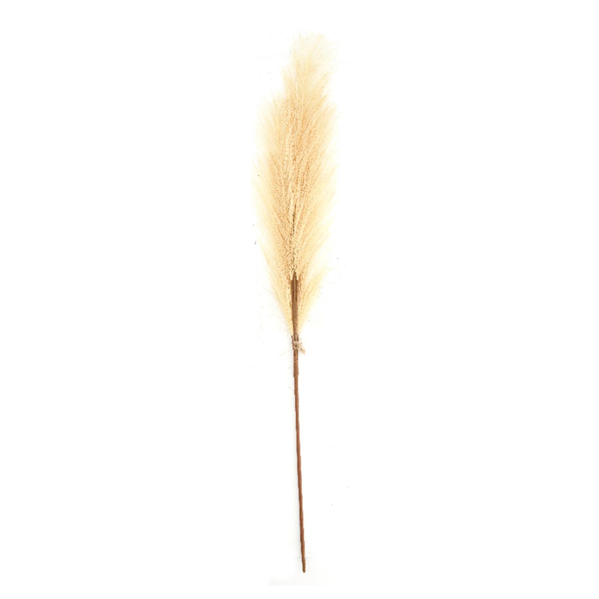 Dijk Natural Collections Kunstblumenfeder 77x8x3cm beige