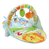 Fisher Price 2in1 Aktivitäten Fitnessstudio