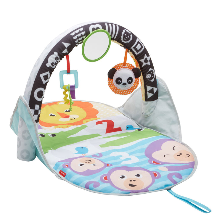 Fisher Price 2in1 Aktivitäten Fitnessstudio