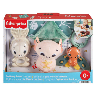 Fisher Preis so viele Sinne Geschenkset