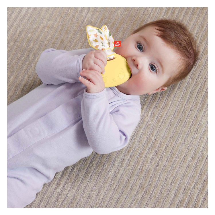 Beißrassel Kaninchen von Fisher Price