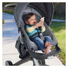 Beißrassel Ente von Fisher Price