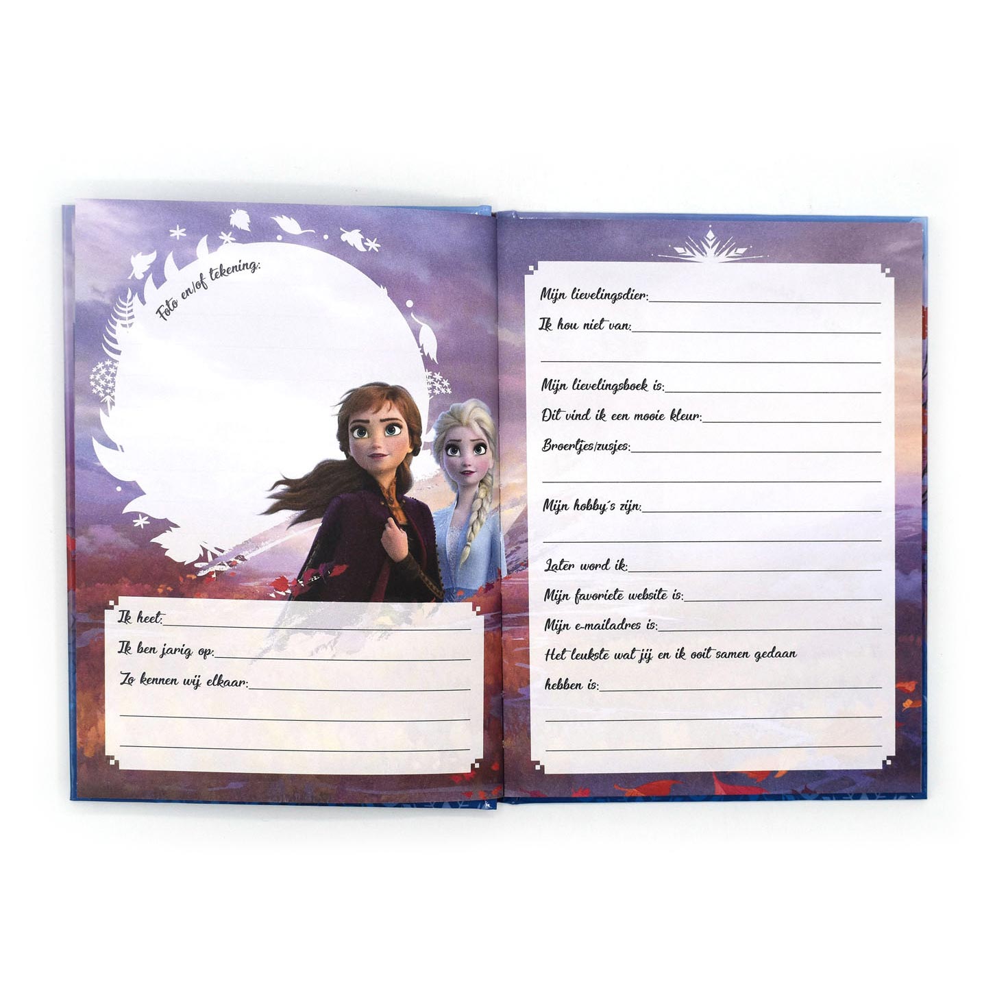 Frozen II Friends Book