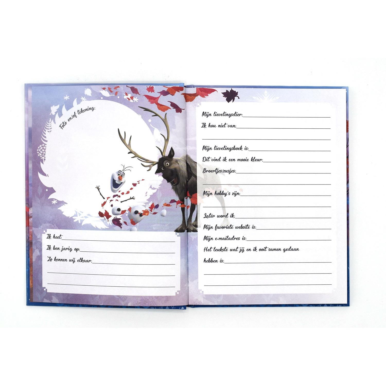 Frozen II Friends Book