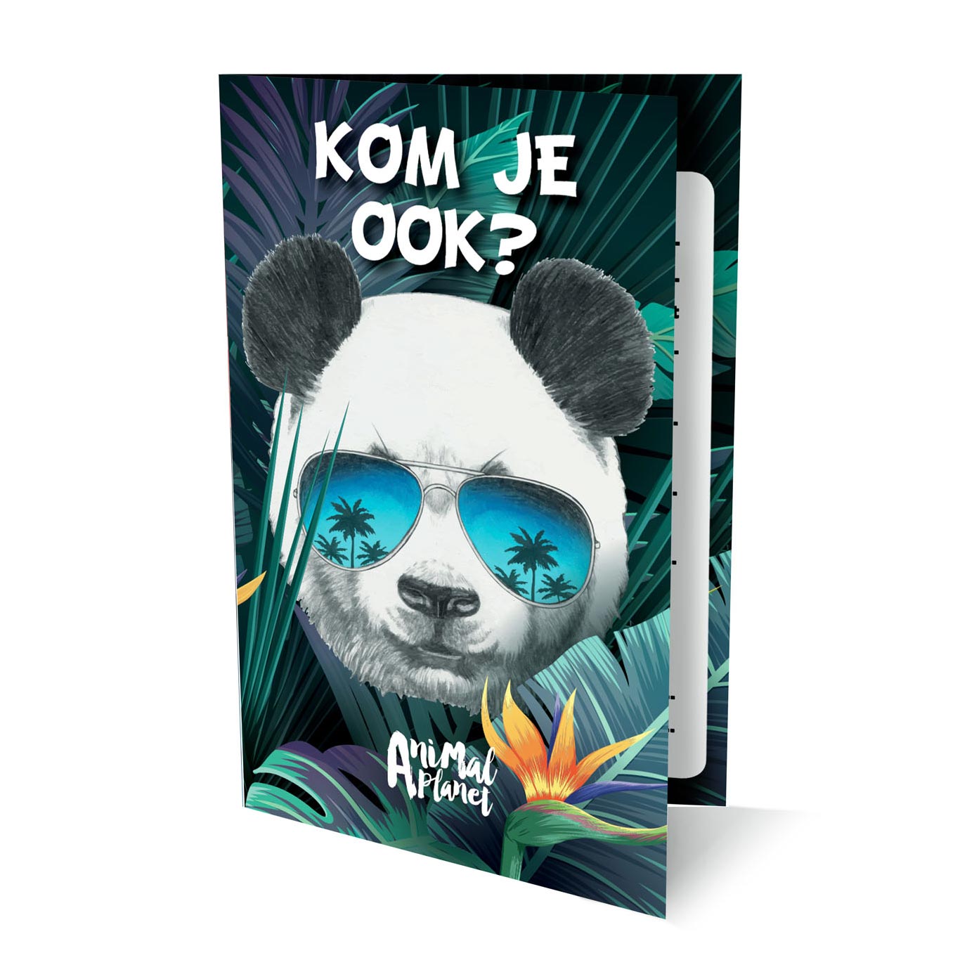 Animal Planet Einladungen Panda, 6 Stk.