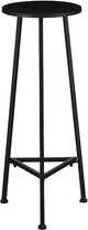 Glimmerdekorationen Jill Pflanzentisch – 30x30x80 cm – Eisen – Schwarz