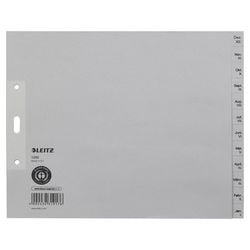 Leitz Tabs 100 g m2 12 Tabs