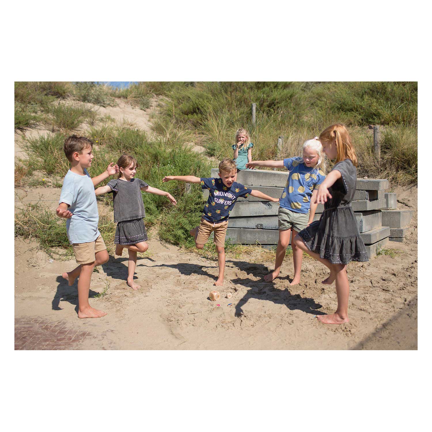 BS Toys Vögel in Action Hout Child Game