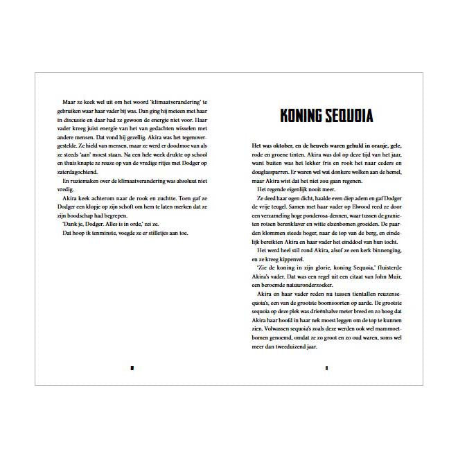 Klaitman Publishers zwei Abschlüsse