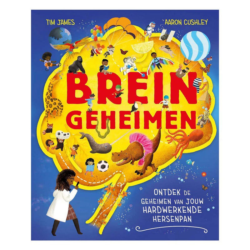 Herausgeber Kluitman Brain Secrets