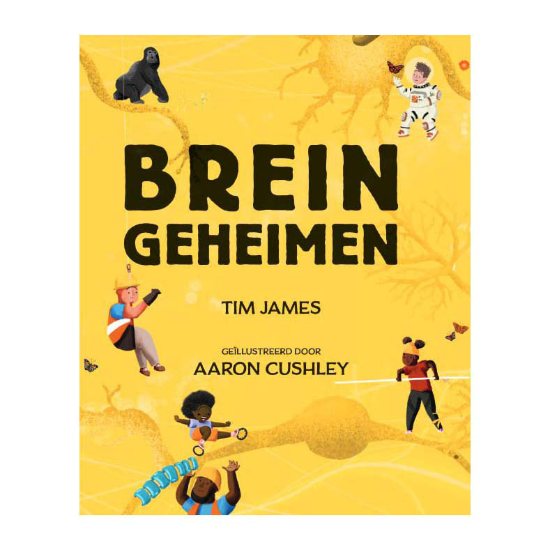 Herausgeber Kluitman Brain Secrets
