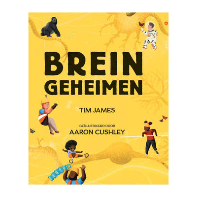 Herausgeber Kluitman Brain Secrets