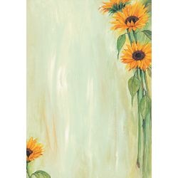 Designpapier Sigel A4 90 g m² 25 Blatt Farbsortiment