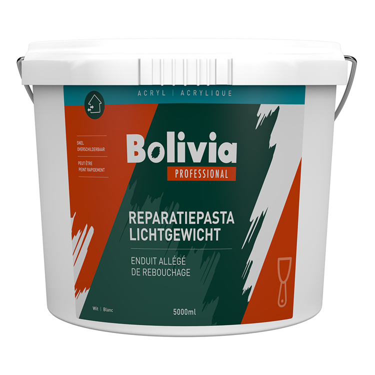 Bolivien 1073478 - Reparatur PST Light 5lt | 1 Stk