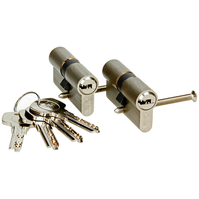 Yale 1060547 – 2 Profilzylinder. 1000 mV 60 mm (30 30) | 2 Stk