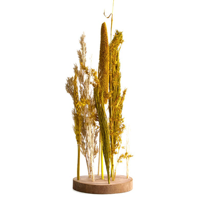 Dijk Natural Collections Trockenblumen in Standardgröße ø15x30cm