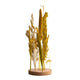 Dijk Natural Collections Trockenblumen in Standardgröße ø15x30cm