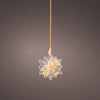 Lumineo Micro LED Stern mit Trockenblumen ø 19cm